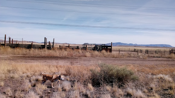 Yavapai Landscaping in Chino Valley