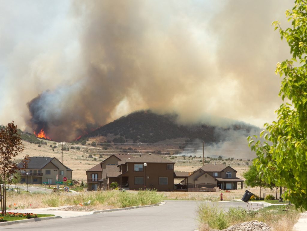 Wild fire or forest fire endangers neighborhood