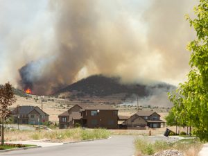 Wild fire or forrest fire endangers neighborhood