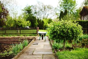 Garden Design