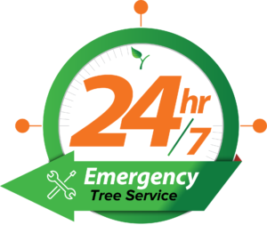 Round-the-clock emergency tree service logo depicting a 24/7 availability with a green leaf and wrench and screwdriver symbols indicating repair or maintenance services in Prescott.