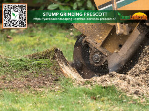 Stump grinding machine in action, removing remnants of a tree from the ground.