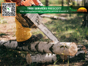 Lumberjack at work: precise chainsaw cutting through a fallen tree log on a sunny day.