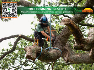 An arborist skillfully trimming a tree while secured with safety equipment.