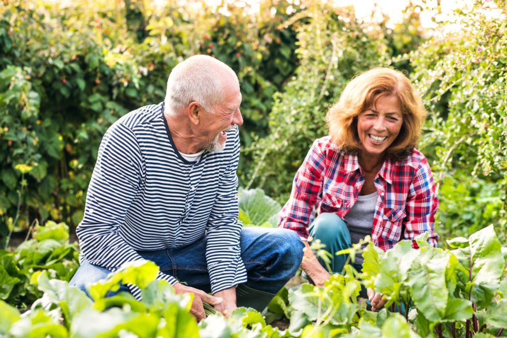 Senior couple sharing a joyful moment while tending to their garden on a sunny day, featured on the landing page of Prescott Woman's Magazine.