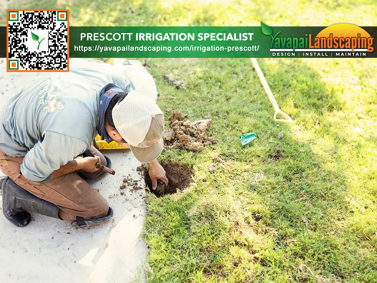 The Irrigation Specialist’s Approach to Maximizing Water Efficiency