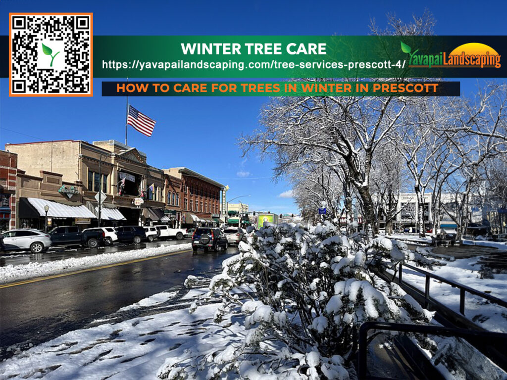 Winter Tree Care Prescott