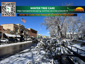 A snowy street scene in a town with vehicles parked along the side, trees covered in snow, and an advertisement for winter tree care services in prescott.