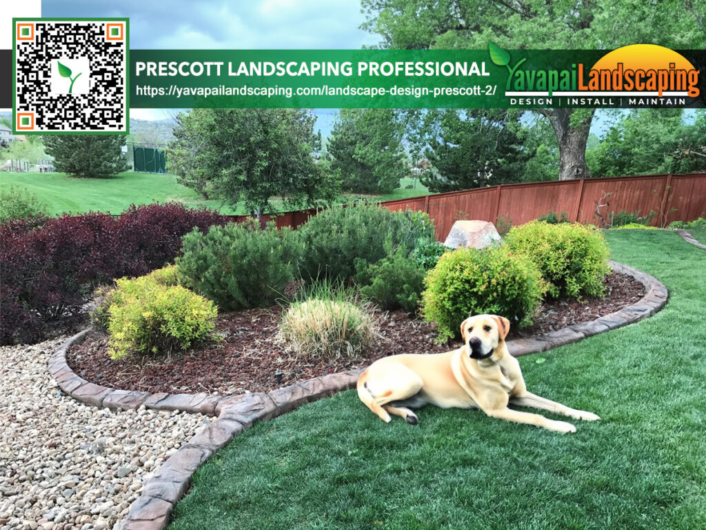 A contented dog lounging on a well-manicured lawn with lush landscaping and a clear company ad for "yavapai landscaping" featuring a link and qr code for their services.