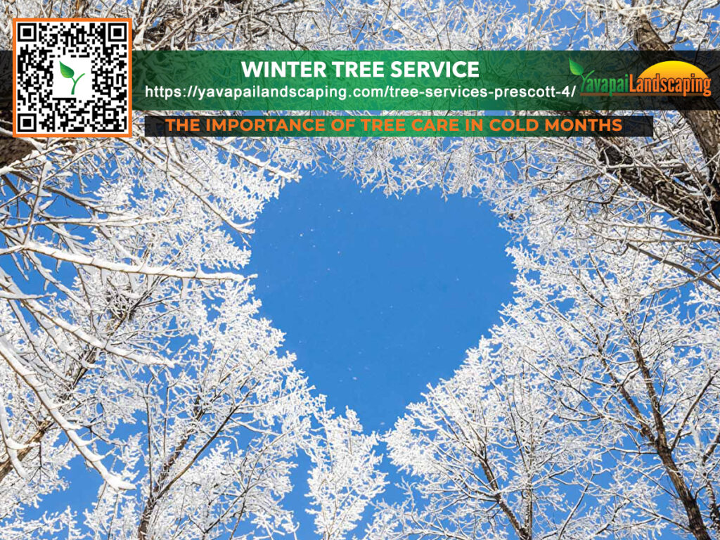 Prescott Winter Tree Service