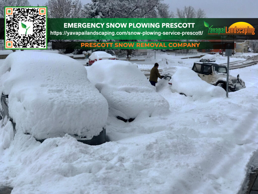 A heavy snowfall blankets cars in a parking lot, while a person clears snow, emphasizing the essential services of a snow removal company.