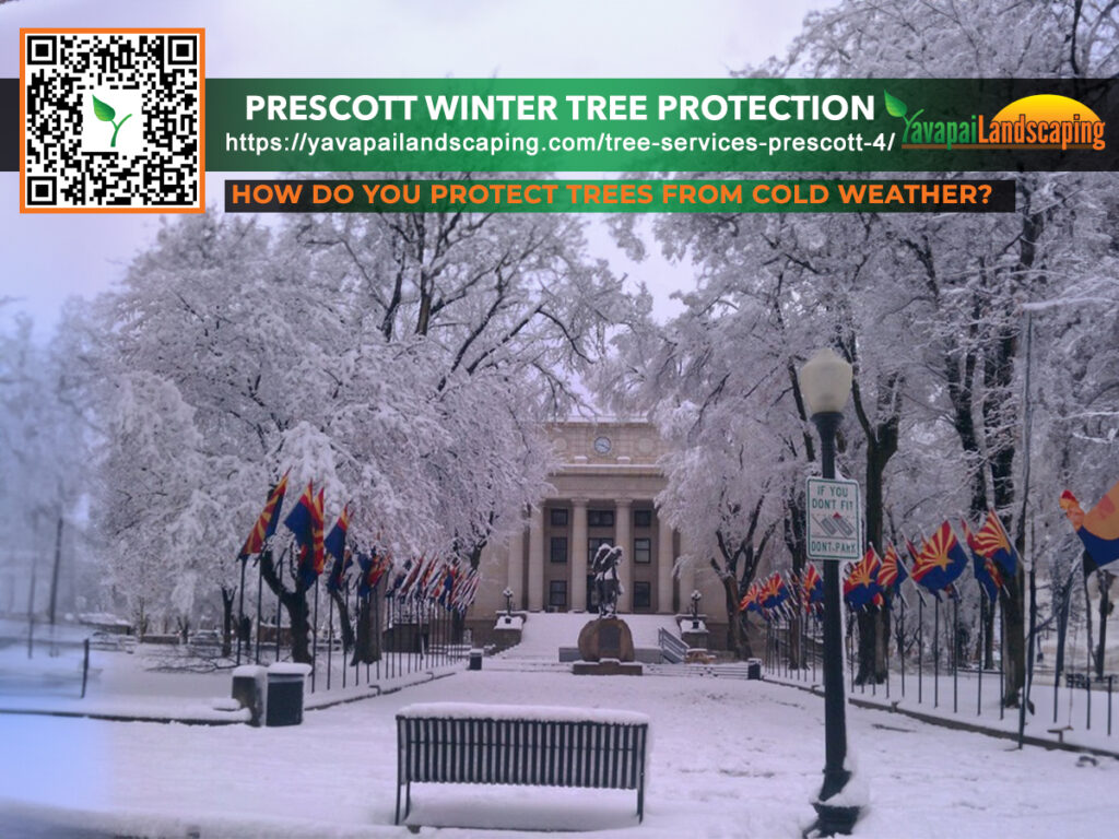 Prescott Winter Tree Protection
