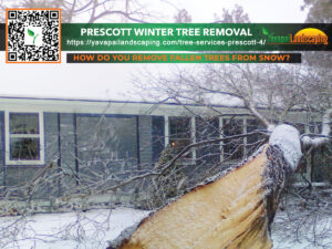 A large fallen tree covered in snow in front of a house, with an advertisement for tree removal services by "yavapai landscaping" including a qr code and a website link. the caption asks, "how do you remove fallen trees from snow?.