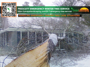 A fallen tree blanketed with snow lies in front of a house, highlighting the need for emergency winter tree care services.
