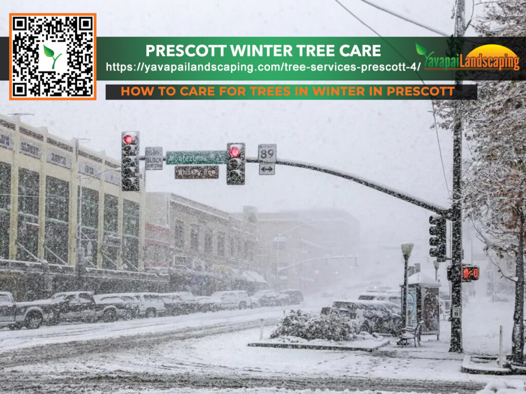Prescott Winter Tree Care