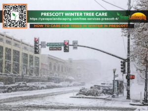A snowy urban scene with vehicles on the road, traffic lights indicating 'how to care for trees in winter', and a promotional overlay for prescott winter tree care services, complete with a qr code and a url link.
