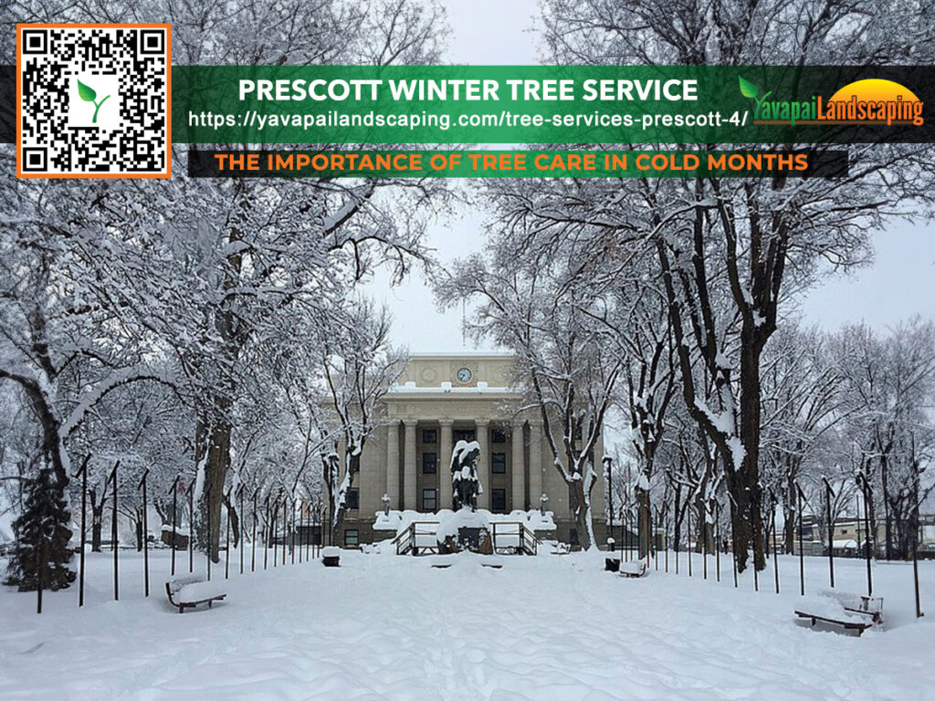 Prescott Winter Tree Service
