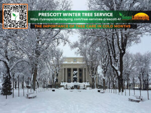 A snowy landscape showcases the serene beauty of leafless trees lining the path to a grand building, with the importance of tree care in winter highlighted by the overlaid text and website link for a tree service.