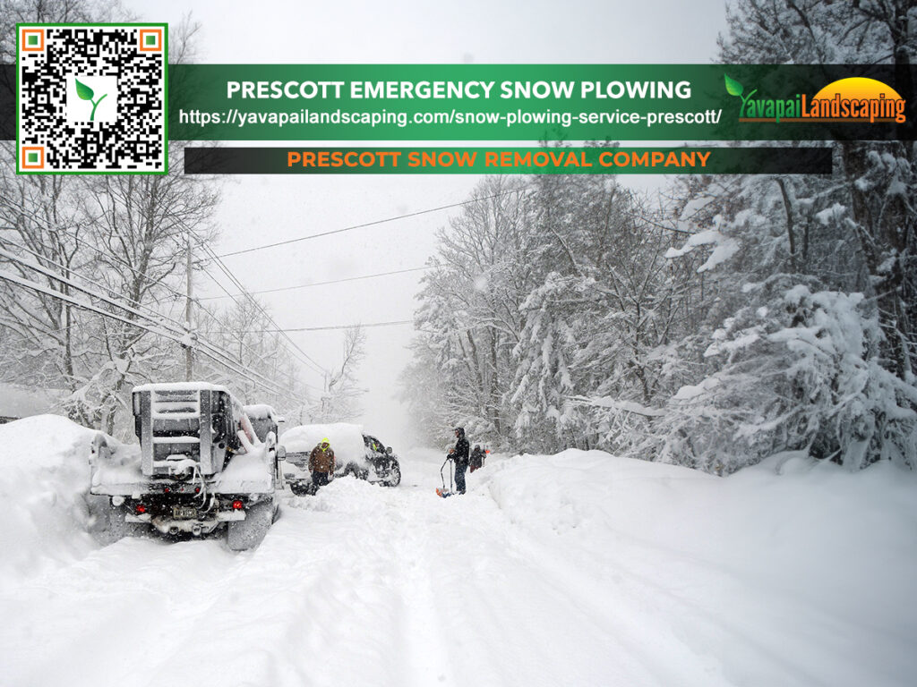 Snow removal team in action, clearing a heavily snow-covered road amidst a wintry landscape.