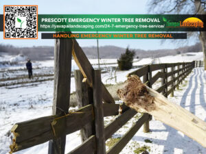 Braving the cold for urgent care - dedicated professionals at work with prescott emergency winter tree removal, ensuring safety and swift response after snowstorm damage.