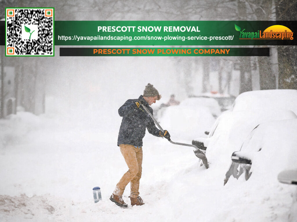 A person clearing a heavy blanket of snow from a vehicle amidst a snowstorm, with an advertisement for a snow plowing company in the background.