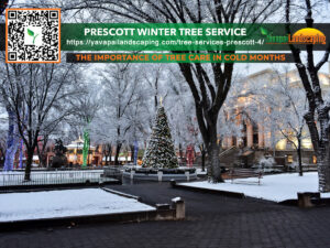 A wintery evening in prescott with snow-covered trees, a festive christmas tree, and a qr code and url promoting local tree care services by yavapai landscaping.