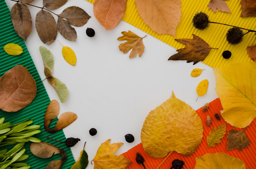 Frame of assorted autumn leaves and seeds on a vibrant, striped background, embodying Seasonal Splendor, with space for text in the center.