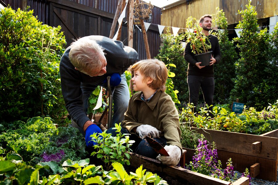 A young boy and an older man, presumably his grandfather, are practicing sustainable Prescott landscaping together on a sunny day, while another man observes, holding a plant pot in the background of a lush garden.