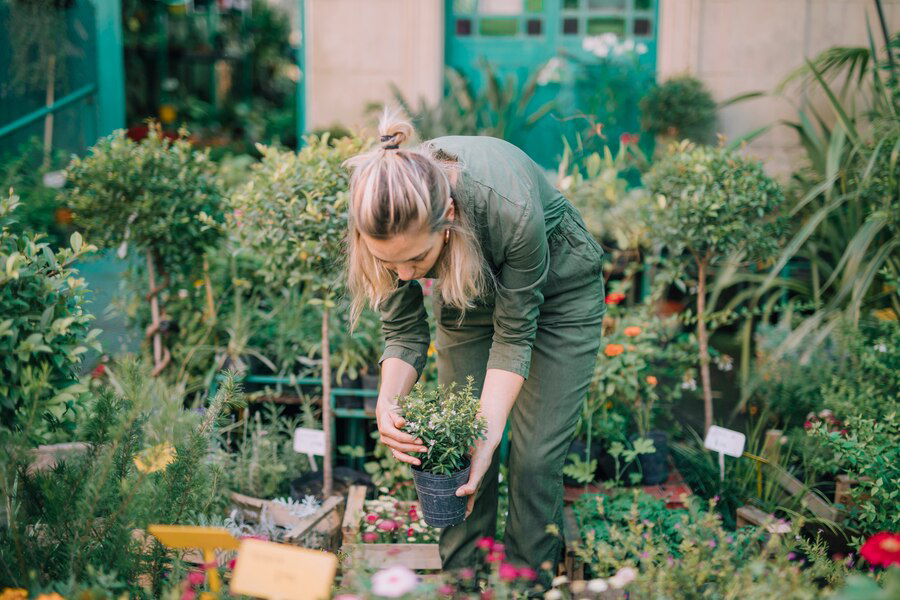 A gardener unleashes their creativity while lovingly tending to plants in a lush greenhouse.