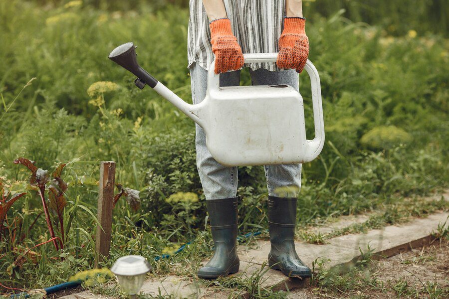 A gardener clad in rubber boots and gloves holding a white watering can in a lush garden setting, amidst recent Prescott landscaping.