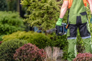 A gardener, emphasizing the importance of professional maintenance, wearing a high-visibility vest and protective gloves using a hedge trimmer to maintain shrubs in a landscaped garden.