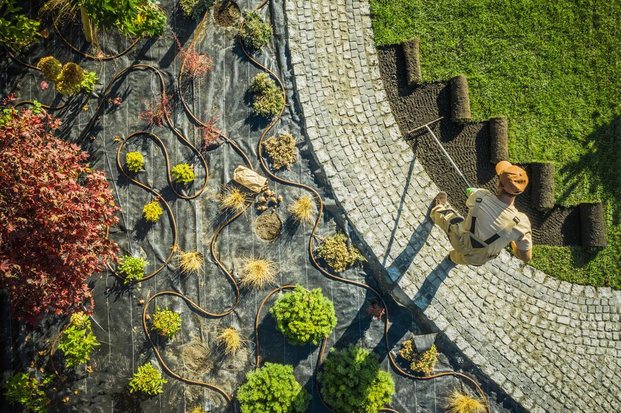 A gardener working amidst a mix of potted plants and garden hoses, on a sunny day, with the shadows casting a pattern on the paved ground, exemplifies the process of Prescott Landscaping