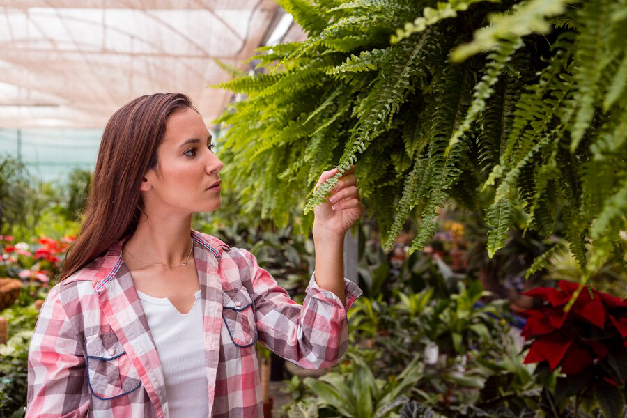 A woman in a plaid shirt examining the leafy fronds of a fern and learning tips and tricks in a lush greenhouse setting.