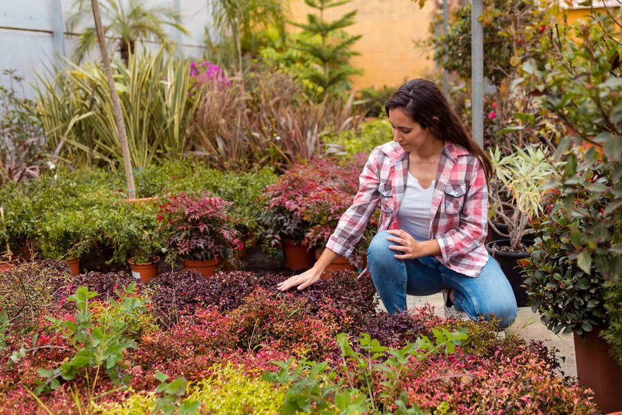 Prescott Landscaping: Bringing Nature to Your Backyard