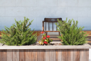 A solitary wooden chair, maximizing small spaces, is framed by two lush green bushes and accented with bright flowers, set against a serene backdrop of smooth gray tiles.