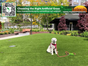 Choosing the Right Artificial Grass
