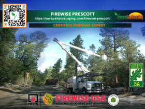 A forestry service vehicle with an extended crane arm parked amidst a wooded area as part of firewise prescott's efforts, showcasing their certification in wildfire risk reduction and tree care excellence.