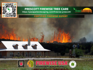 A promotional image for "prescott firewise tree care" featuring a house with defensible space in the foreground and a large, raging wildfire in the background. logos of firewise usa and nfpa (national fire protection association) are present along with a "certified firewise expert" badge, advocating the importance of landscape management to reduce wildfire risks.