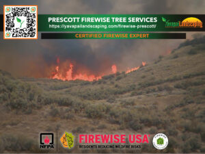 A wildfire rages on a hillside, with flames clearly visible against the smoke-filled sky, as part of an advertisement for prescott firewise tree services, offering certified expertise in reducing wildfire risks.