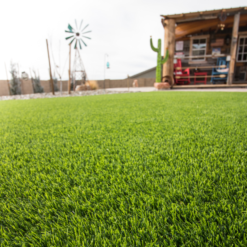 A green grass field with the Hodges Residence windmill in the background.