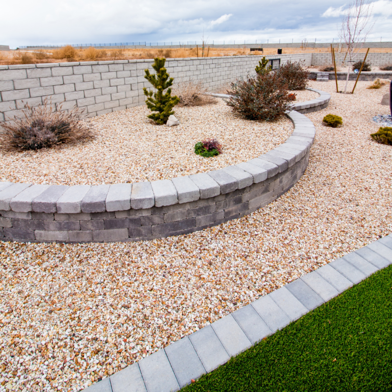 At the Ray Residence, a landscaped backyard boasts a gravel bed, small shrubs, and young trees. It features a stone retaining wall that creates a raised planting area. A narrow strip of green turf runs along the edge of the gravel, with a stone walkway bordering the space.