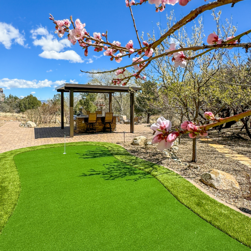 A vibrant outdoor patio at the McAfee residence features a modern pergola with a wooden dining set underneath, set beside a well-manicured putting green. Blooming cherry blossom branches dominate the foreground, while a clear blue sky with scattered clouds enhances the scenic background.