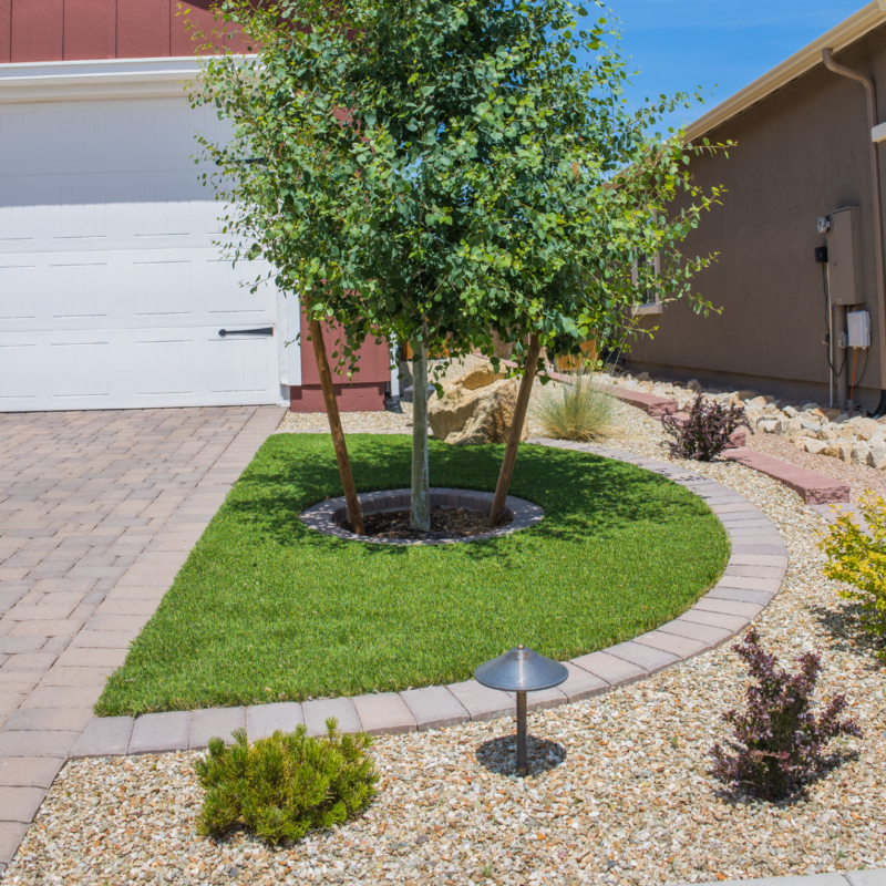 The Kann Residence boasts a well-maintained front yard featuring a neatly trimmed lawn, a tree in the center, and a pathway lined with small rocks. The area is bordered by a driveway on the left and another pathway adorned with more plants on the right.