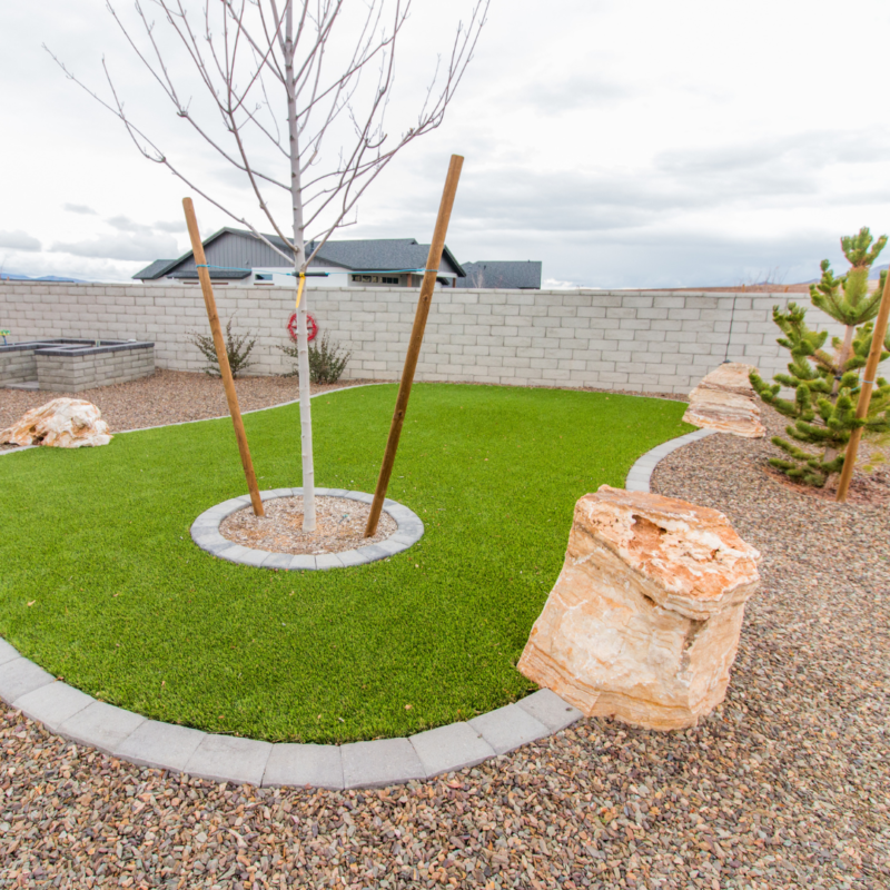 The landscaped backyard at the Lange Residence features a small tree supported by stakes in the center of a circular patch of grass bordered by gray bricks. Surrounding the grass are areas covered in brown pebbles, large decorative rocks, and a young evergreen shrub.