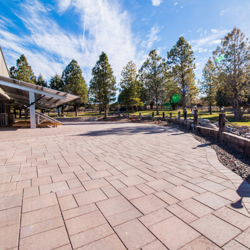 A spacious outdoor area with a large, sunlit, tiled patio. To the left, partially visible buildings shaded by a metal awning blend seamlessly. Auto Draft touches in the background reveal tall evergreen trees and a wooden fence under a blue sky with wispy clouds.