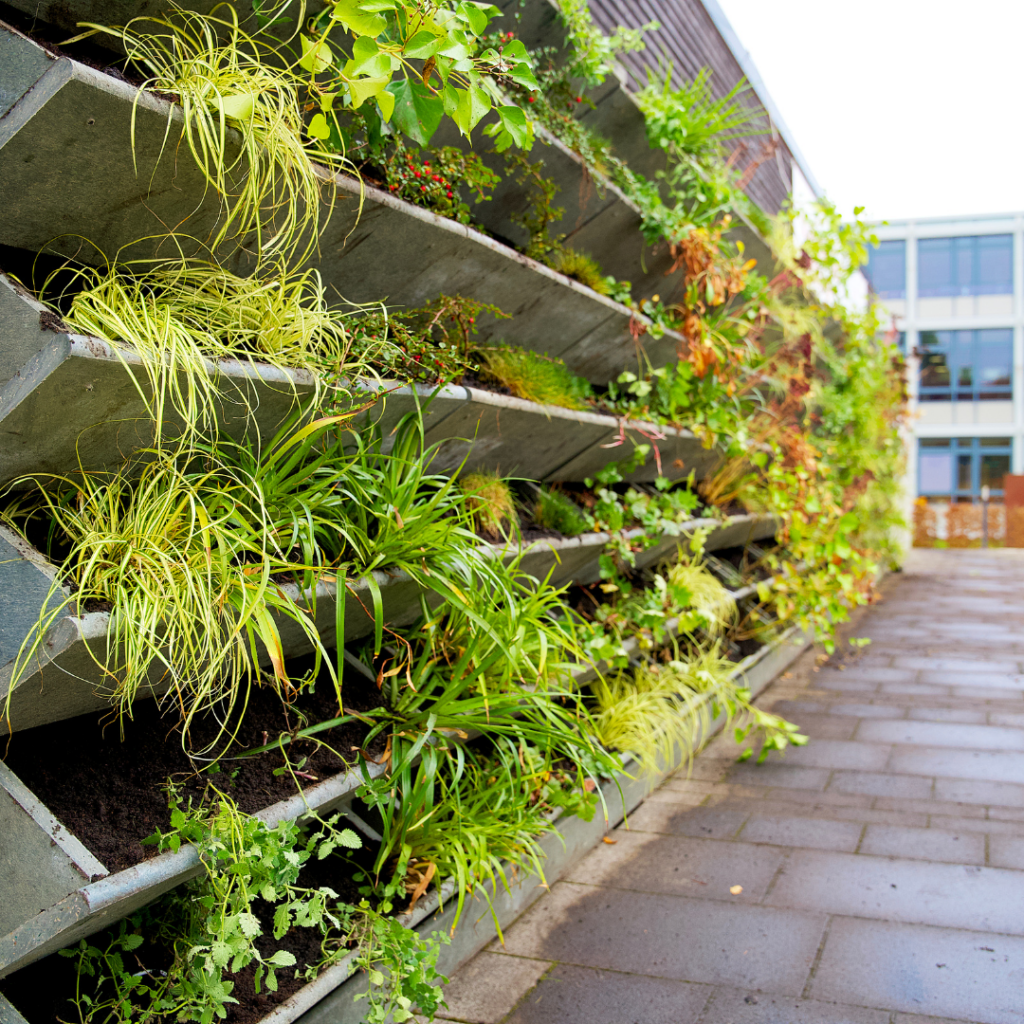 Wall Gardens
