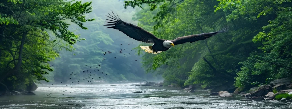 a majestic bald eagle soaring over a rushing river surrounded by lush green forests near talking rock.