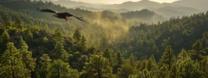 capture a majestic bald eagle soaring over the lush forests of prescott, arizona.