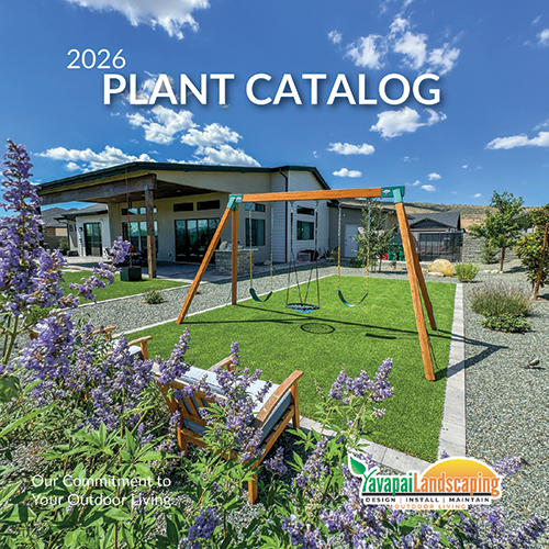A landscaped backyard in Prescott with a swing set, bench, and green grass under a partly cloudy sky. Purple flowers are in the foreground. Text reads "2026 Plant Catalog" and "Yavapai Landscaping Company.